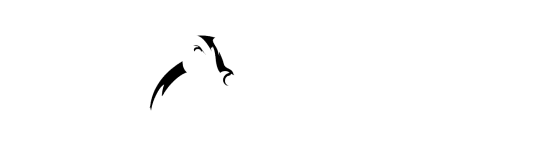 Hide Craftsman